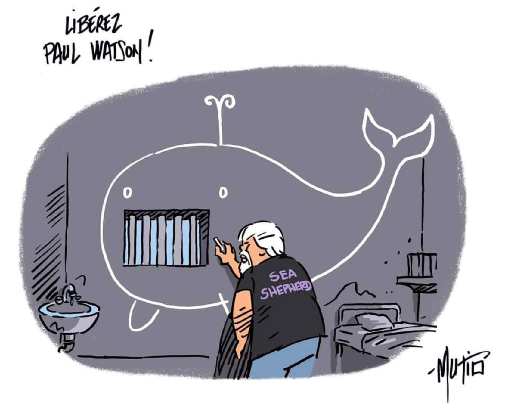 Qui est Paul Watson ? Tout le monde en parle... D'autres agissent ...