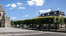 les tilleuls centenaires